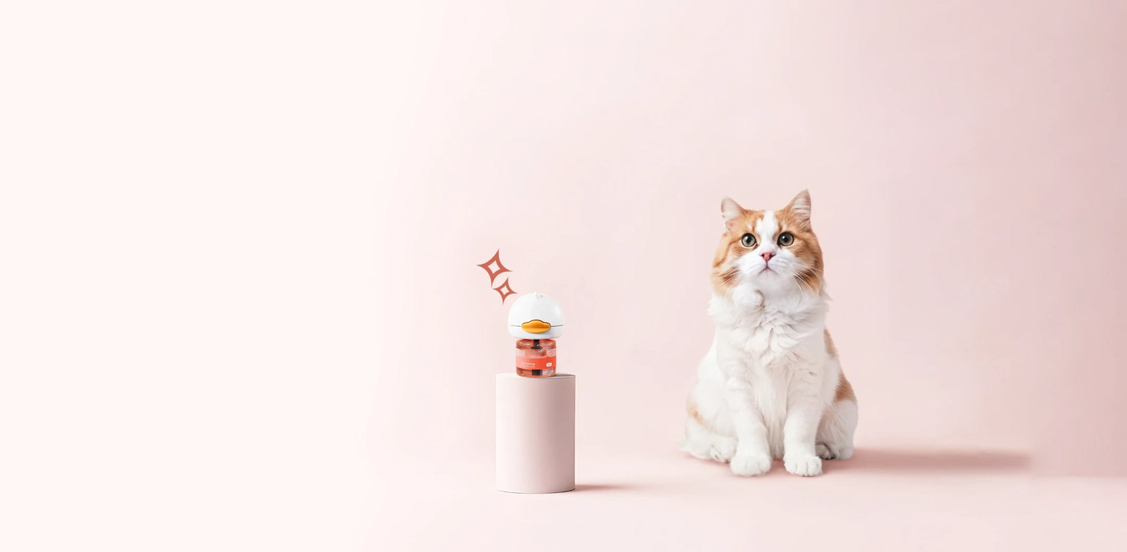 Norvo diffuser, cat, and product box
