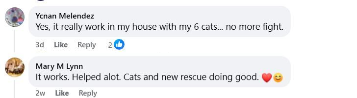 Facebook testimonial 1