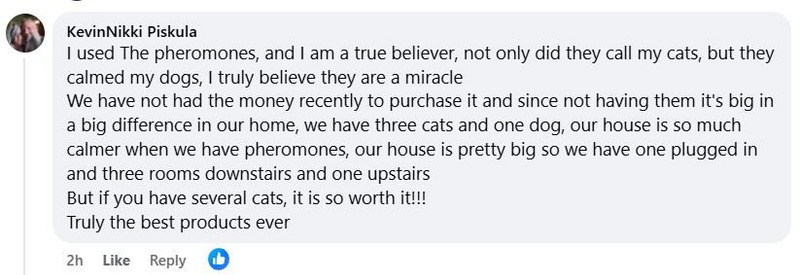Facebook testimonial 2